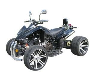 test quad kaufen
