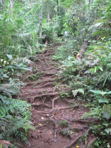 Rinjani Trekking 6