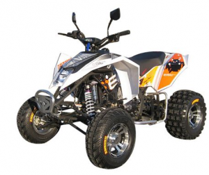 Quad Test & Vergleich 2019 Quad Test & Vergleich 2019