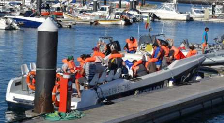 Whale watching mit dem Schlauchboot