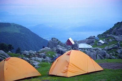 wildcampen