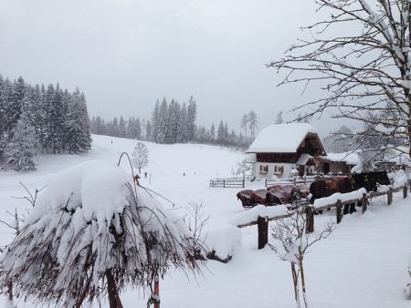 Steiermark Skifahren