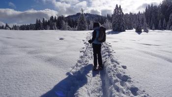 Schneeschuhe mit Stoecken