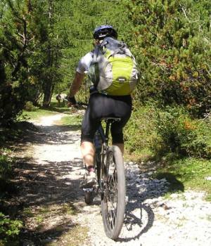 testsieger fahrrad rucksack