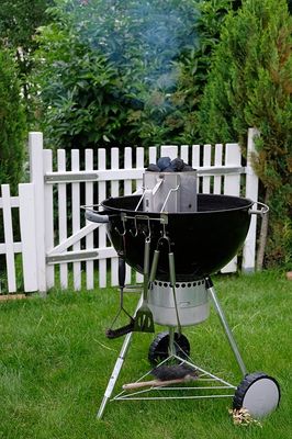 Kugelgrills Testsieger