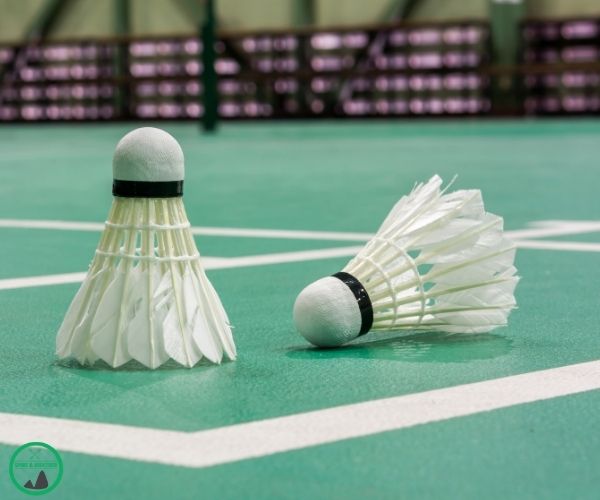 Badmintonbaelle Testsieger