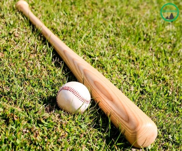 Baseball-Schlaeger Testsieger