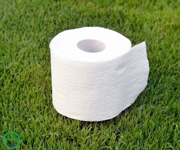 Camping-Toilettenpapier Testbericht