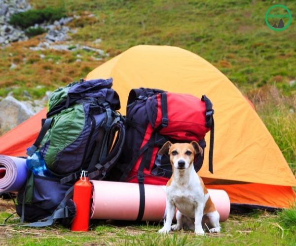 Camping Zubehoer Testbericht