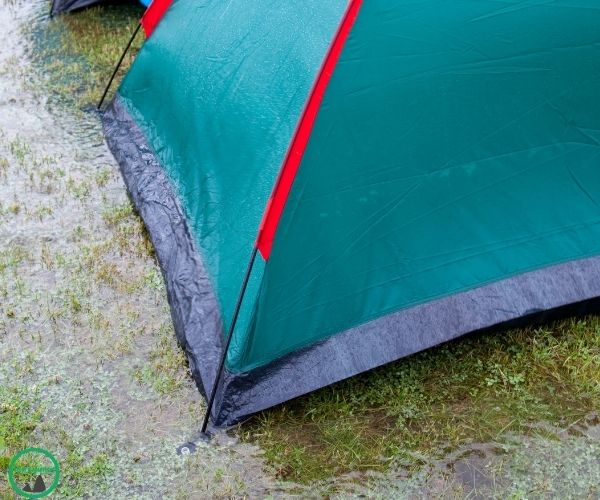 Heringe fuers Camping Testbericht