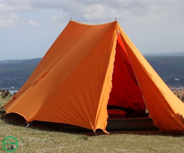 Heringe fuers Camping Testsieger