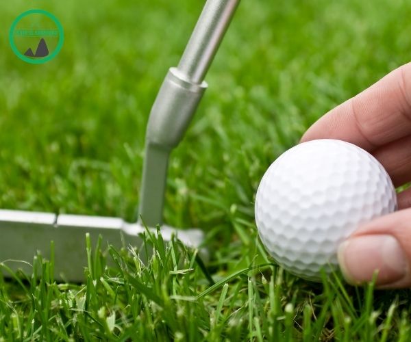 Putter Ratgeber