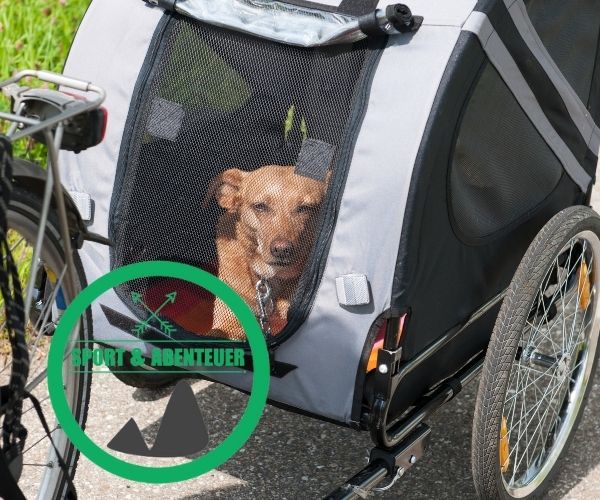 Hundefahrradanhaenger Testsieger