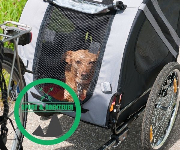 Hundefahrradanhänger Empfehlungen