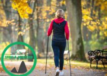 Sportart mit N