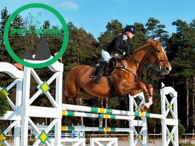 Kreuzwortrфуtsel-Lösung zu Hindernis beim Springreiten