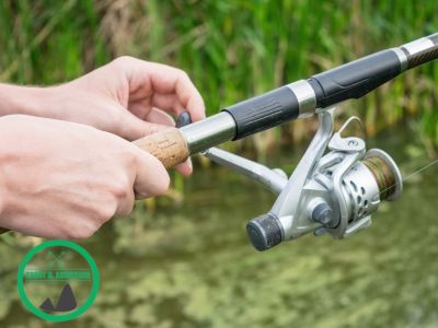 Fuer welche Fische ist eine Feederrute?