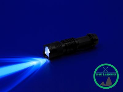 UV Taschenlampe Testsieger ermitteln So gehen Experten vor